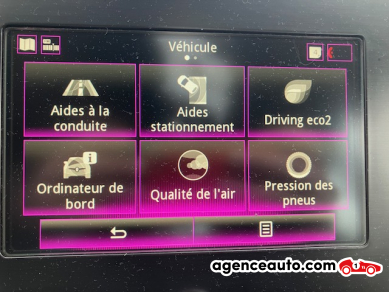 Renault Megane — 24