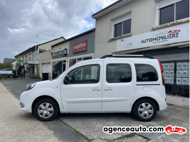Renault Kangoo — 4