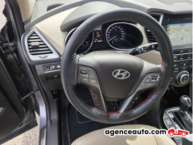 Hyundai Santa Fe — 17