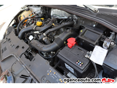 Renault Clio — 29