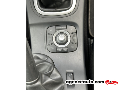 Renault Megane — 29