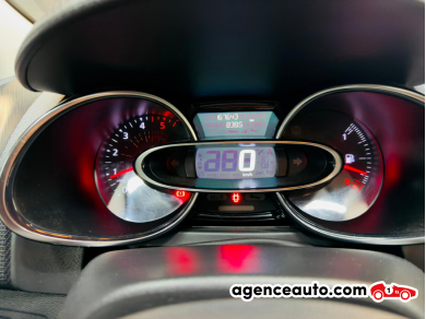 Renault Clio — 13