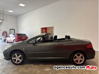 Peugeot 307 — 4