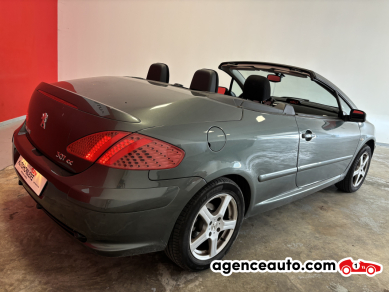 Peugeot 307 — 8