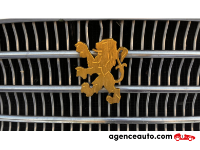 Peugeot 404 — 32