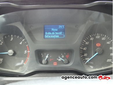 Ford Transit — 29