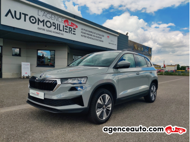 Skoda Skoda Karoq