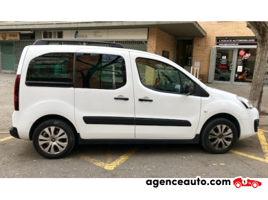 Citroen Berlingo — 17