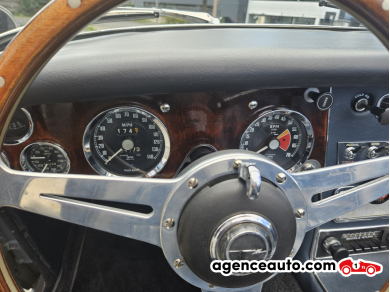 Austin-Healey 3000 — 16