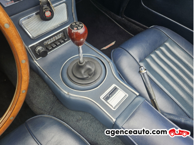 Austin-Healey 3000 — 17