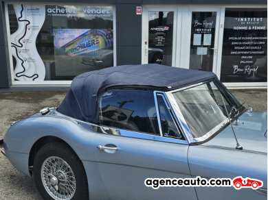 Austin-Healey 3000 — 19