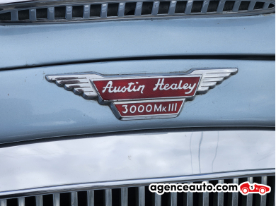 Austin-Healey 3000 — 21