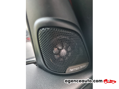 Mini Countryman — 29